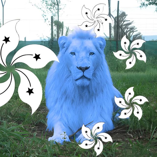 angu